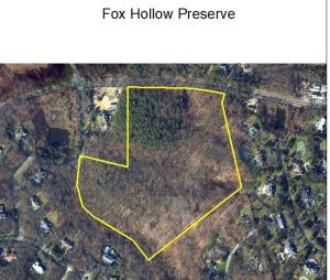 foxhollow aerial view